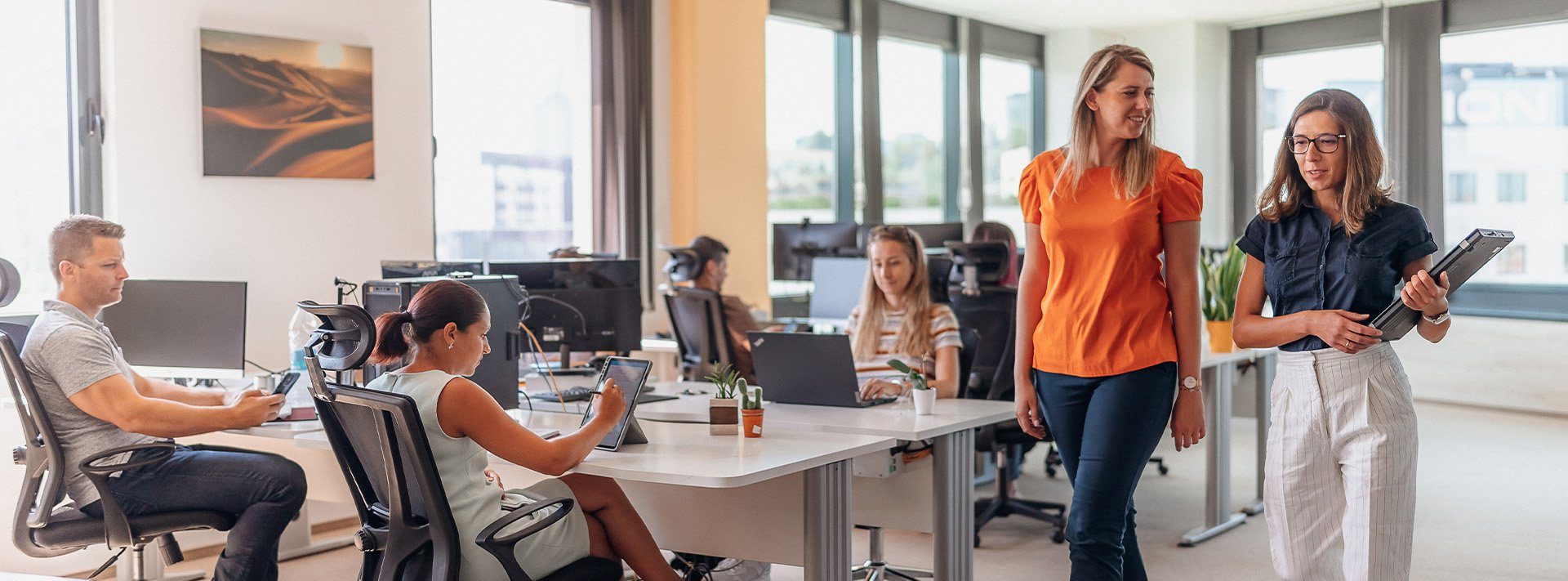.NET Architect