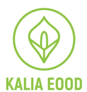 ����� 12 ���� logo