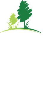 Нолина Николови ООД logo