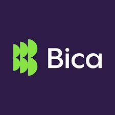 ÁÈÊÀ ÑÚÐÂÈÑÈÑ ÎÎÄ logo