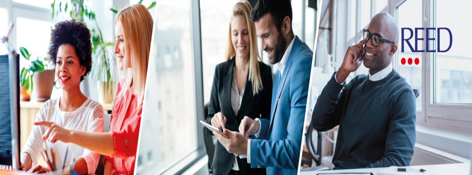 Job City EOOD Official Partner of Reed Specialist Recruitment UK in Bulgaria