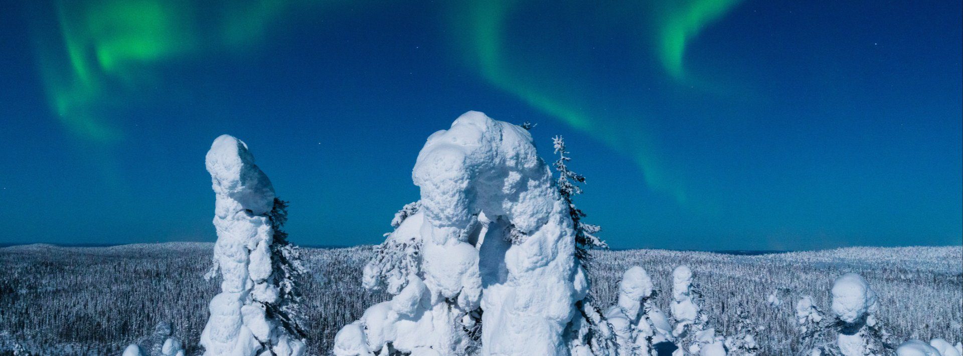 &amp;#192; La Carte Chef &amp; &amp;#192; La Carte Waiter, Lapland Winter Season 2026 - 2027